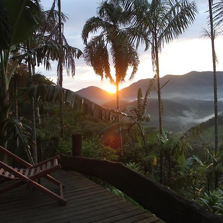Eco Hostel Organic Life Trindade  Exterior foto