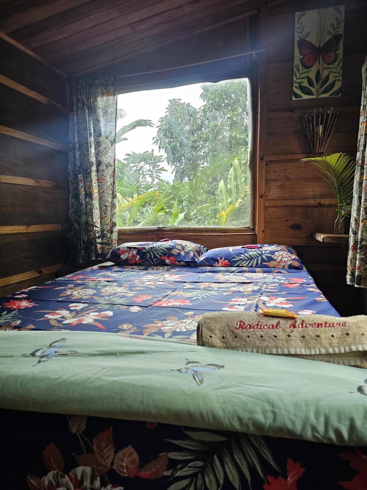 Eco Hostel Organic Life Trindade  Exterior foto